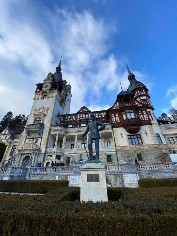 Hotel Vila De Argint Sinaia Exterior foto